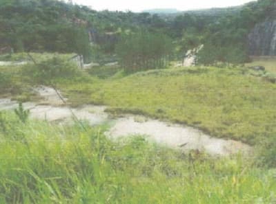 Foto 4 de 10: Area Rural em leilão em Bom Sucesso De Itararé - SP — Imóvel rural, A.T. 96.800m², Bairro de Bom Sucesso, Sítio Sinhá 1