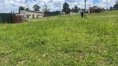 Foto 1 de 6: Terreno em leilão em Ponta Grossa - PR, bairro Colônia Dona Luíza — Lote, Ponta Grossa / PR