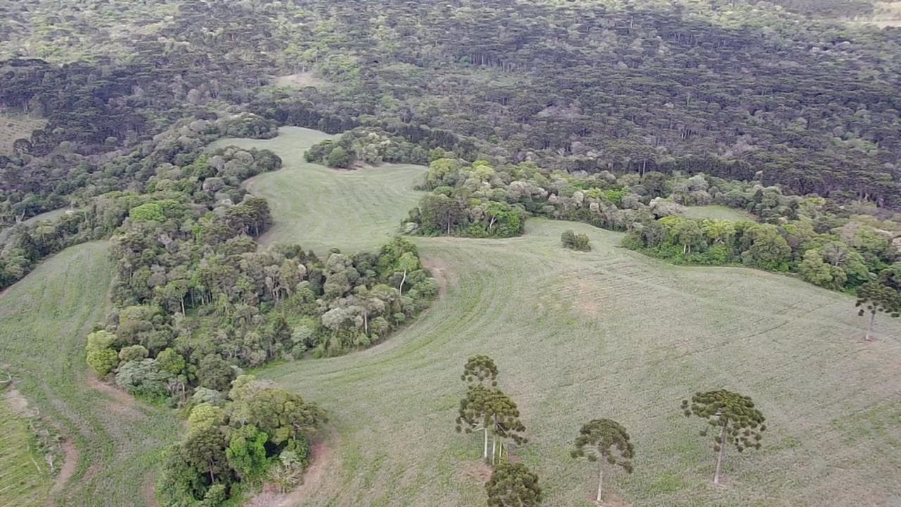 Foto 5 de 5: Area Rural em leilão em Guarapuava - PR, bairro Guairacá — Fazenda Marrecas | 54,23 Hectares | Guairacá | Guarapuava/PR