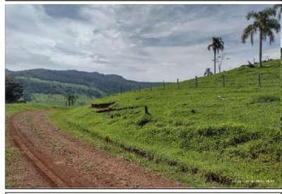 Foto 4 de 8: Area Rural em leilão em Coronel Domingos Soares - PR — Terreno Rural com área de 38,66 hectares, as margens do Rio Iguaçu, Gleba III, do Quinhão IV e Quinhões 6 e 6-A, da Fazenda Cacumbangue, município de Coronel Domingo Soares/PR