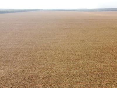 Foto 2 de 6: Area Rural em leilão em Brasnorte - MT — Fazenda Elo Verde 2.200 hectares em MT 50% de desconto