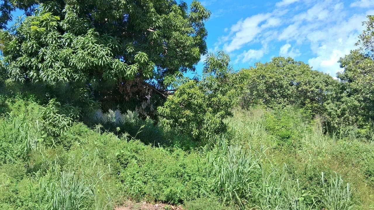 Foto 5 de 5: Terreno em leilão em Minaçu - GO, bairro Vila Residencial de Minaçu — Terreno Urbano 360m² | Vila Residencial de Minaçu - Minaçu/GO |Localização Nobre e Infraestrutura Completa: Ideal para Construção e Investimento!