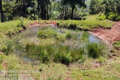 Foto 11 de 13: Area Rural em leilão em São José Das Palmeiras - PR — IMÓVEL RURAL COM ÁREA TOTAL DE 22,40 ha- Em SÃO JOSÉ DAS PALMEIRAS/PR