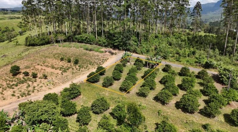 Foto 5 de 6: Terreno em leilão em Dona Emma - SC — IMÓVEL URBANO COM ÁREA TOTAL DE 453,04 m2- Em DONA EMMA/SC