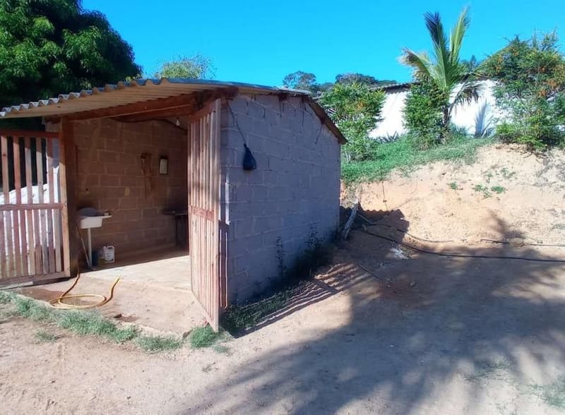 Foto 31 de 49: Area Rural em leilão em Caiana - MG — IMÓVEL RURAL COM ÁREA TOTAL DE 16,99,68 hectares- Em CAIANA/MG