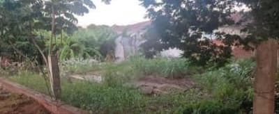 Foto 5 de 6: Terreno em leilão em Pérola - PR, bairro Centro — Terreno sem benfeitorias, com área de 300,00 m², localizado à Rua Bernardino de Campos, n° 1.562, Centro, na Cidade de Pérola/PR