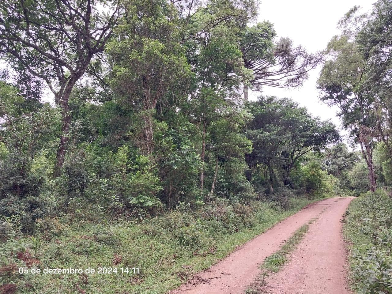 Foto 4 de 17: Terreno em leilão em Lapa - PR — Terreno rural, com área de 36.300,00m², Lapa/PR