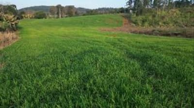 Foto 4 de 6: Area Rural em leilão em São Jorge D’oeste - PR — IMÓVEL RURAL COM ÁREA TOTAL DE 33.434.00 m², EM SÃO JORGE DOESTE-PR