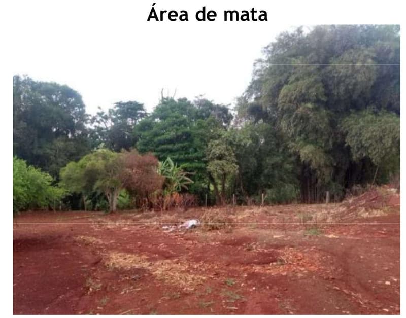 Foto 4 de 6: Area Rural em leilão em Araras - SP — PROPRIEDADE RURAL COM 5,07 ALQUEIRES PAULISTAS - ARARAS/SP