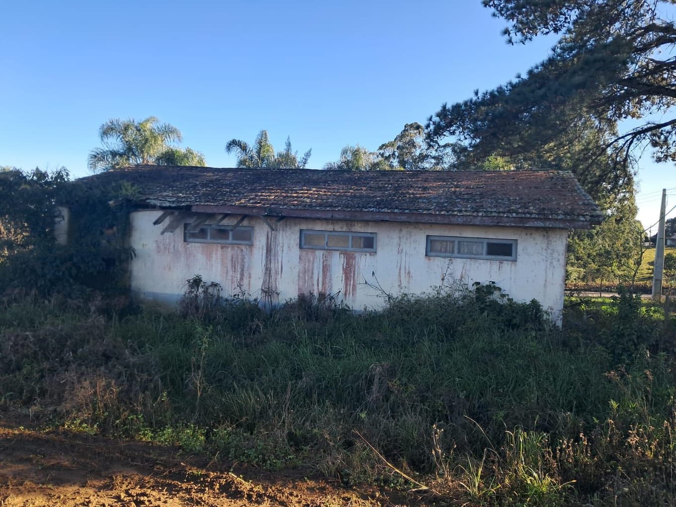 Foto 6 de 9: Terreno em leilão em Imbuia - SC — TERRENO RURAL COM ÁREA DE 974,40M² LOCALIZADO EM IMBUIA/SC