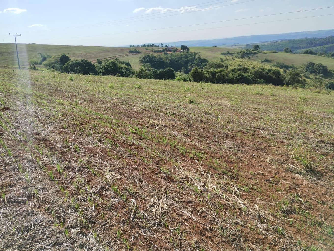 Foto 3 de 24: Area Rural em leilão em São Jerônimo Da Serra - PR — Área rural com área de 35,53 hectares - São Jerônimo da Serra/PR.