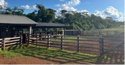 Foto 9 de 12: Area Rural em leilão em Aripuanã - MT — IMÓVEL RURAL | A.T. 797,7029HA ¿ FAZ. ÁGUA DA PRATA (DUPLA APTIDÃO) | ARIPUANÃ/MT