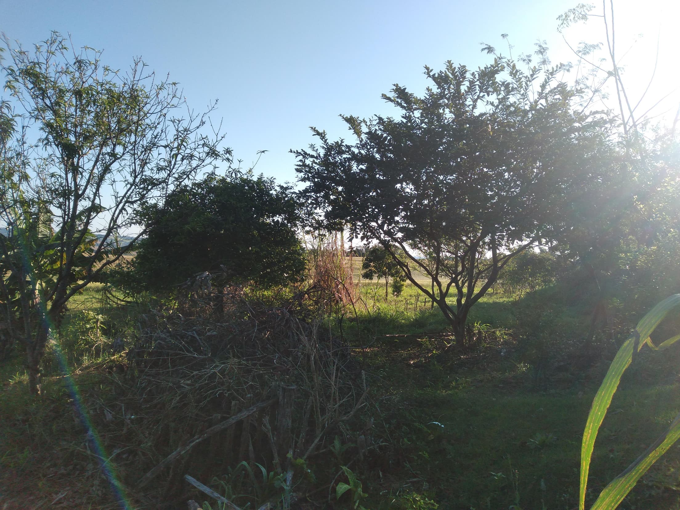 Foto 36 de 41: Area Rural em leilão em Capitão Leônidas Marques - PR — Gleba Urbana Desocupada 27.837m2 no Bairro São Gabriel em Capitão Leonidas Marques/PR