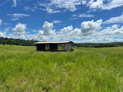 Foto 3 de 10: Area Rural em leilão em Alta Floresta D'oeste - RO — IMÓVEL RURAL | A.T. 49,79 HA | ALTA FLORESTA DOESTE/RO