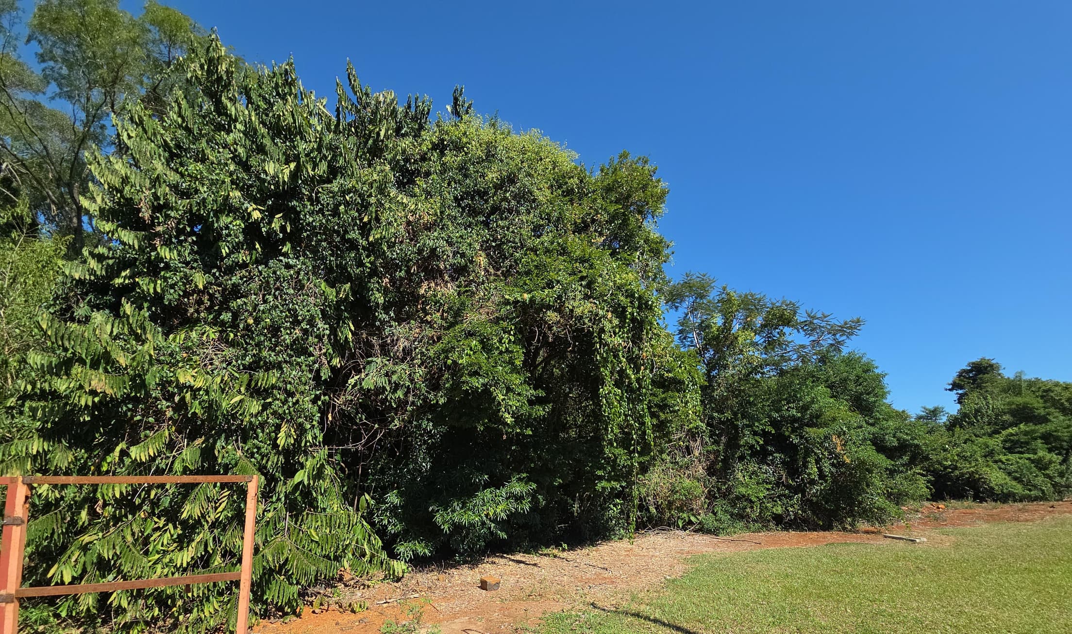 Foto 1 de 4: Terreno em leilão em Nova Prata Do Iguaçu - PR, bairro Colônia Missões — LOTE URBANO Nº 11, QUADRA Nº 01 DO LOTEAMENTO QUATRO PORTEIRAS DO MUNICÍPIO DE NOVA PRATA DO IGUAÇU/PR ÁREA DE 600M²