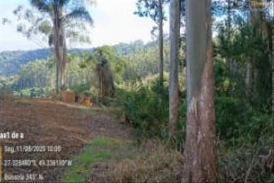 Foto 8 de 15: Terreno em leilão em Vidal Ramos - SC, bairro Área Rural — IMÓVEL RURARL COM ÁREA TOTAL DE 13.000 ha,- Em VIDAL RAMOS/SC