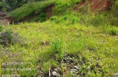 Foto 7 de 8: Terreno em leilão em Rio Do Sul - SC — TERRENO URBANO COM ÁREA TOTAL 1.655,900 m², EM RIO DO SUL-SC
