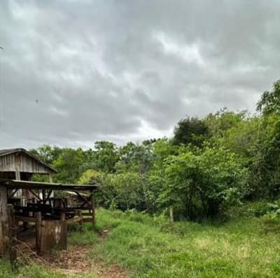 Foto 6 de 6: Terreno em leilão em Nova Prata Do Iguaçu - PR — Terreno rural com área de aproximadamente 9.360,00m², com benfeitoria residencial, situado em Nova Prata do Iguaçu/PR