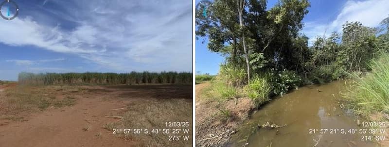 Foto 3 de 7: Area Rural em leilão em Arealva - SP — Uma gleba de terras com área de 126,6565 Há