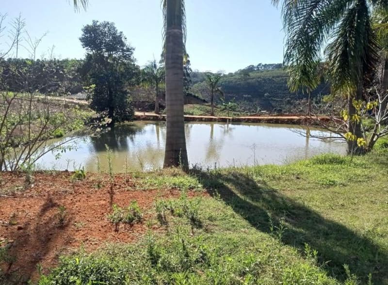 Foto 11 de 49: Area Rural em leilão em Caiana - MG — IMÓVEL RURAL COM ÁREA TOTAL DE 16,99,68 hectares- Em CAIANA/MG