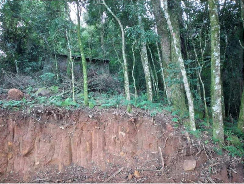 Foto 8 de 8: Terreno em leilão em Porto União - SC — Terreno com aproximadamente 8.259,10m².