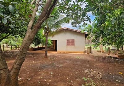 Foto 5 de 8: Area Rural em leilão em Vicentinópolis - GO — Lote Agrícola 317ha em Vicentinópolis/GO | Vizinho à Usina Caçu | Topografia Plana e Beira do Asfalto