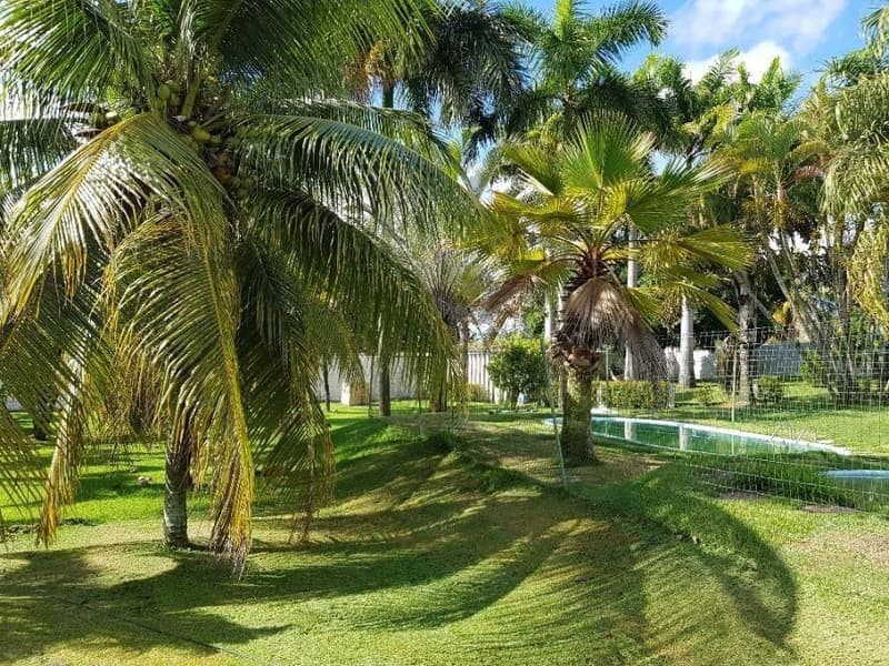 Foto 10 de 25: Casa em leilão em Nísia Floresta - RN, bairro Espaço Sul — Casa 263m² com Piscina | com Terreno 1600m² | Nísia Floresta-RN | Espaço Sul - Financiamento até 420 Meses!
