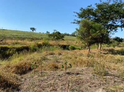 Foto 5 de 6: Area Rural em leilão em Martinópolis - SP — Imóvel rural com 9,68 ha.