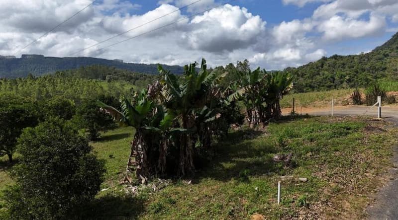 Foto 6 de 6: Terreno em leilão em Dona Emma - SC — IMÓVEL URBANO COM ÁREA TOTAL DE 453,04 m2- Em DONA EMMA/SC