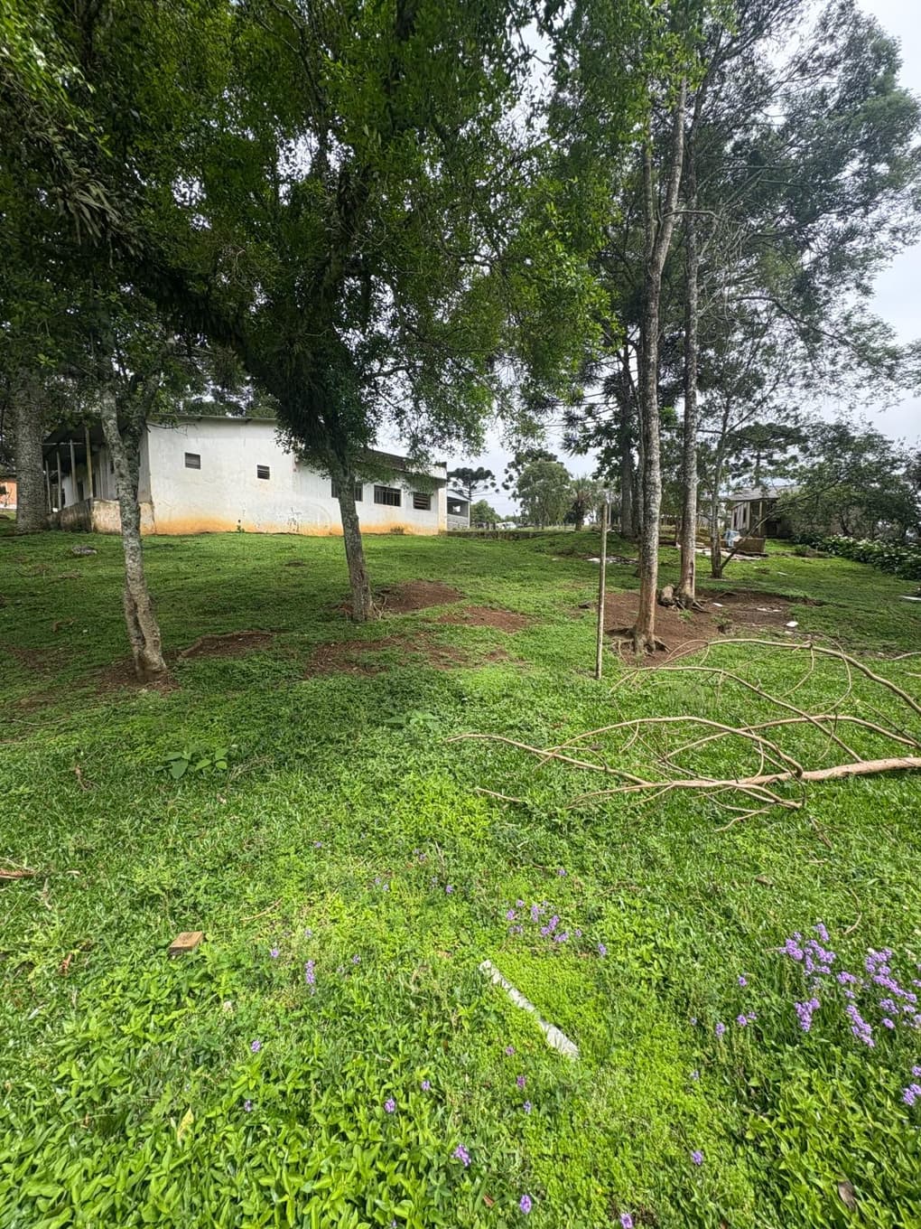 Foto 8 de 9: Terreno em leilão em Guarapuava - PR, bairro Morro Alto — TERRENO RURAL MEDINDO 6.050,00M² COM UM BARRACÃO - GUARAPUAVA-PR