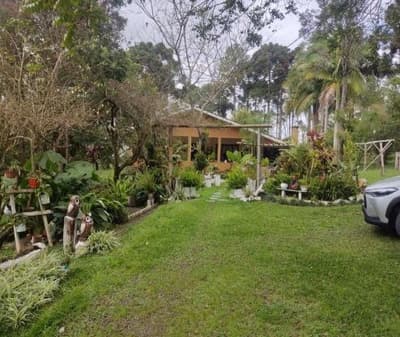 Foto 1 de 26: Area Rural em leilão em São João Do Triunfo - PR — IMÓVEL RURAL COM EXTENSÃO URBANA - ÁREA TOTAL DE 60.726,43 m²-AVENIDA DAS ARAUCÁRIAS-LADEIRA- SÃO JOÃO DO TRIUNFO-PR
