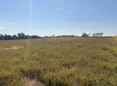 Foto 3 de 5: Area Rural em leilão em Perobal - PR — IMÓVEL RURAL COM ÁREA TOTAL DE 123.701 m2- Em PEROBAL/PR
