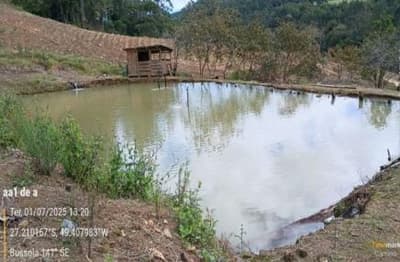 Foto 5 de 16: Terreno em leilão em Apiúna - SC, bairro São Jorge — IMÓVEL RURAL COM ÁREA TOTAL DE 21,291 ha- Em APIÚNA/SC