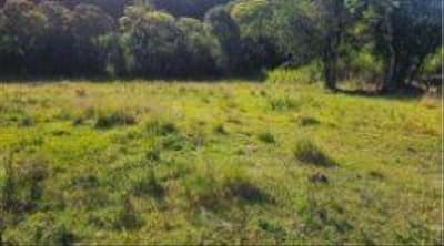 Foto 1 de 3: Imóvel em leilão em Erval Seco - RS — IMÓVEL URBANO COM ÁREA TOTAL DE 1.250,00m² - ERVAL SECO/RS