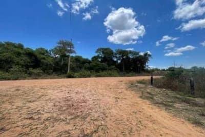 Foto 6 de 11: Area Rural em leilão em Barão De Melgaço - MT — Fazenda Baia São Benedito, área de 10.000 hectares, sem benfeitorias, Barão de Melgaço/MT