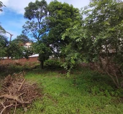 Foto 2 de 6: Terreno em leilão em Lençóis - BA, bairro Parque do Ribeirão — Terreno de 9.031m² | Perímetro Urbano de Lençóis/BA | Próximo ao Parque do Ribeirão | Rara Escala para Resorts, Hotelaria ou Loteamento!
