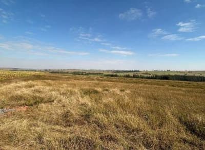 Foto 5 de 5: Area Rural em leilão em Perobal - PR — IMÓVEL RURAL COM ÁREA TOTAL DE 123.701 m2- Em PEROBAL/PR