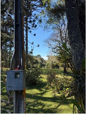 Foto 24 de 35: Area Rural em leilão em São José Dos Pinhais - PR — Sitio com área total de 120.974,16m², localizado Borda do Campo em São José dos Pinhais/PR