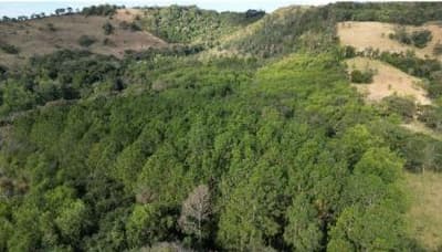 Foto 6 de 16: Area Rural em leilão em Quedas Do Iguaçu - PR — IMÓVEIS RURAIS VENDA CONJUNTA DE DUAS MATRÍCULAS- Em QUEDAS DO IGUAÇU/PR