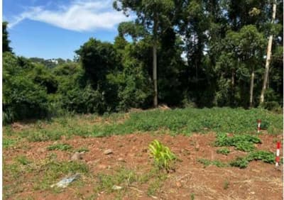 Foto 6 de 6: Imóvel em leilão em Constantina - RS, bairro Loteamento Belohorizonte — IMÓVEL URBANO COM ÁREA TOTAL DE 1.579,13m2 EM CONSTANTINA-RS