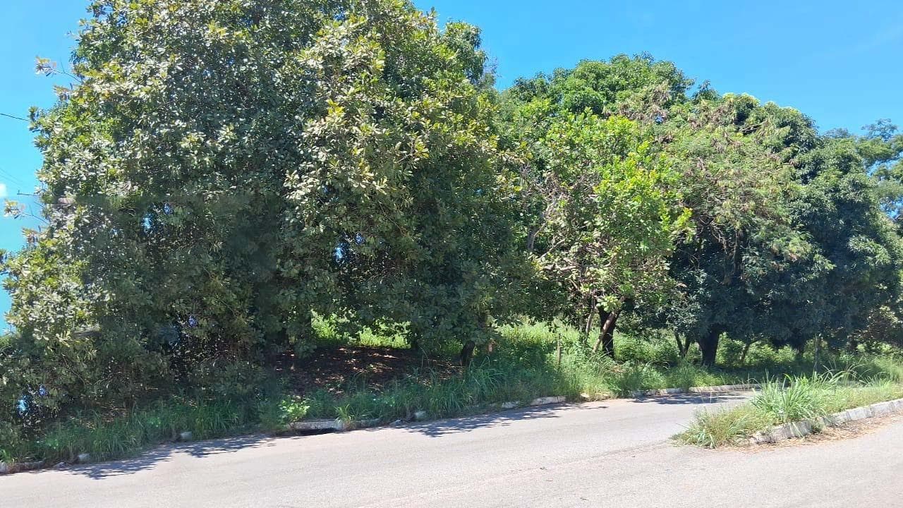 Foto 4 de 6: Terreno em leilão em Minaçu - GO, bairro Vila Residencial de Minaçu — Terreno Urbano 655m² | Vila Residencial de Minaçu - Minaçu/GO |Localização Nobre e Infraestrutura Completa: Ideal para Construção e Investimento!