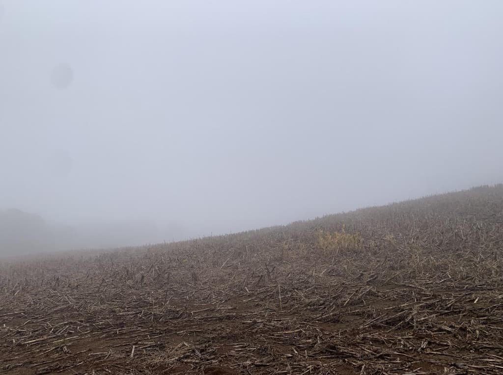 Foto 11 de 12: Area Rural em leilão em Viadutos - RS — IMÓVEL RURAL COM ÁREA TOTAL DE 13,18750 HA EM VIADUTOS-RS