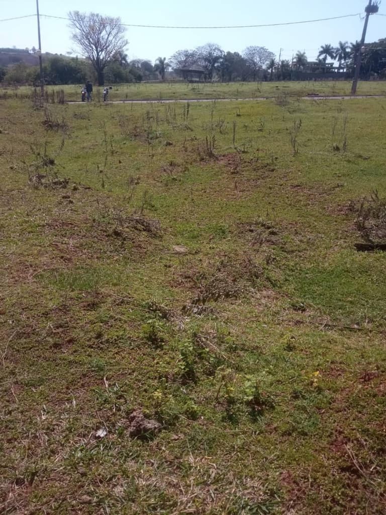 Foto 5 de 5: Terreno em leilão em Pérola - PR — Lote, 597.5 m2, Desocupado, Pérola / PR (65% abaixo da avaliação)