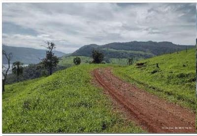Foto 2 de 8: Area Rural em leilão em Coronel Domingos Soares - PR — Terreno Rural com área de 38,66 hectares, as margens do Rio Iguaçu, Gleba III, do Quinhão IV e Quinhões 6 e 6-A, da Fazenda Cacumbangue, município de Coronel Domingo Soares/PR