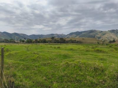 Foto 1 de 3: Area Rural em leilão em Guiricema - MG — IMÓVEL RURAL COM ÁREA TOTAL DE 108.416 m2- Em GUIRICEMA/MG