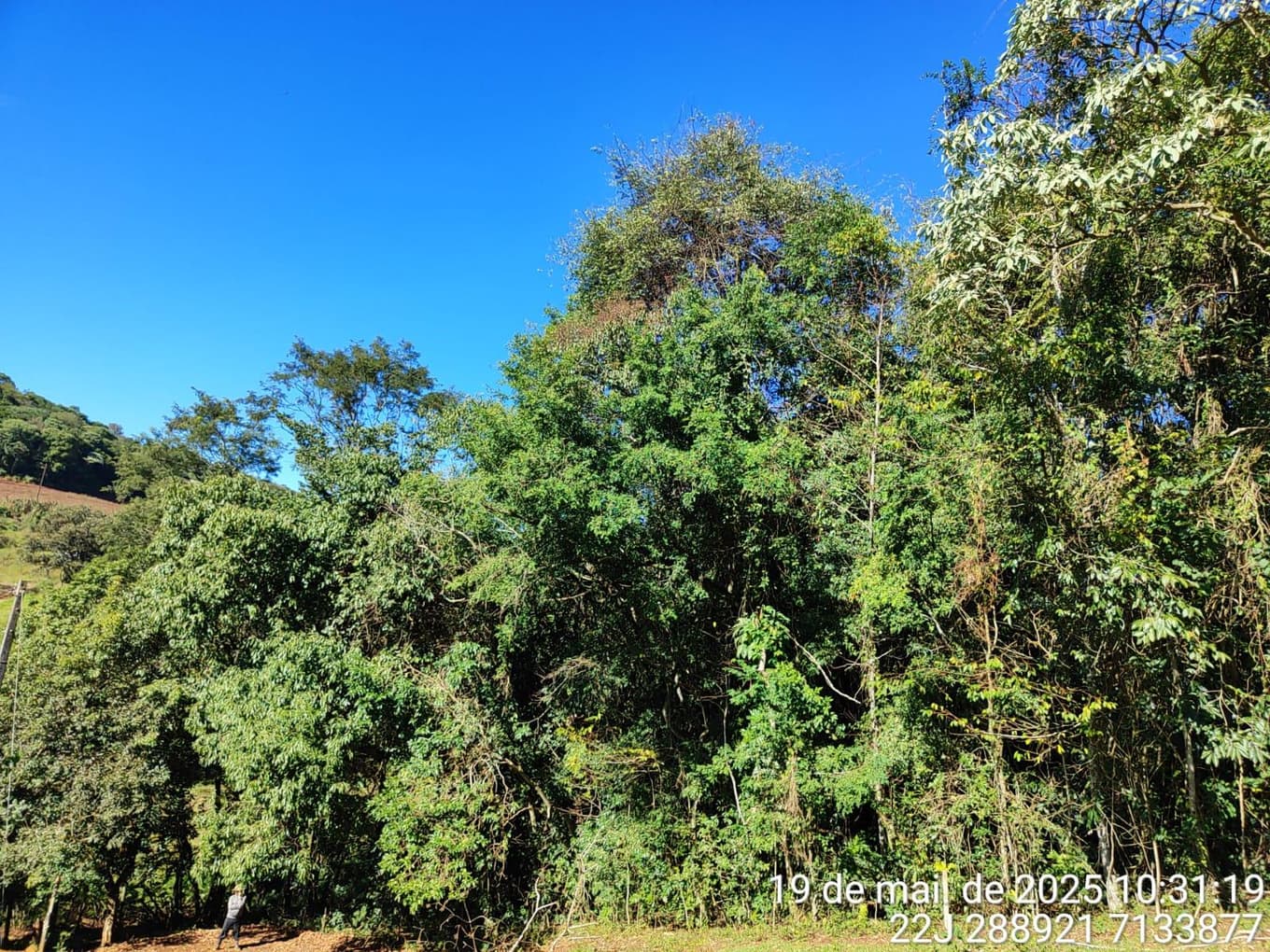 Foto 5 de 9: Area Rural em leilão em Francisco Beltrão - PR — Fração ideal de 7.250m², correspondente a 25% do imóvel: LOTE RURAL, Francisco Beltrão/PR