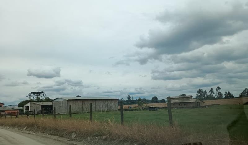 Foto 11 de 11: Area Rural em leilão em Bela Vista Do Toldo - SC, bairro Interior — IMÓVEL RURAL COM ÁREA TOTAL DE 235.247,93 M2 EM BELA VISTA DO TOLDO-SC