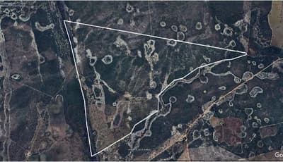 Foto 1 de 4: Area Rural em leilão em Alvorada Do Norte - GO — IMÓVEL RURAL | A.T. 773.43,17 HÁ FAZENDA RANCHARIA | ALVORADA DO NORTE/GO - LEILÃO EMPRESARIAL SISTÊMICO SICREDI