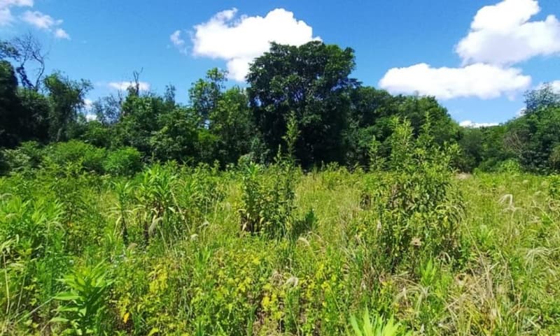 Foto 10 de 10: Area Rural em leilão em São José Do Inhacorá - RS — IMÓVEL RURAL COM ÁREA DE 20.000,00 M2² - EM SÃO JOSÉ DO INHACORÁ/RS