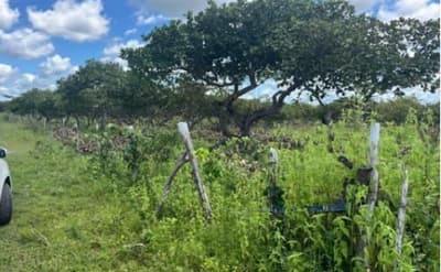 Foto 2 de 5: Terreno em leilão em Pacajus - CE, bairro Eldorado de Pacajus — Terreno 6.600m², Eldorado de Pacajus, Pacajus/CE